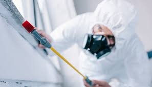 Best Termite Inspection and Treatment  in Independence, LA